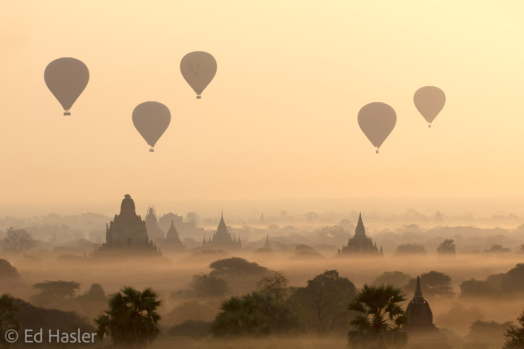 Watching the balloons at sunrise from the ground