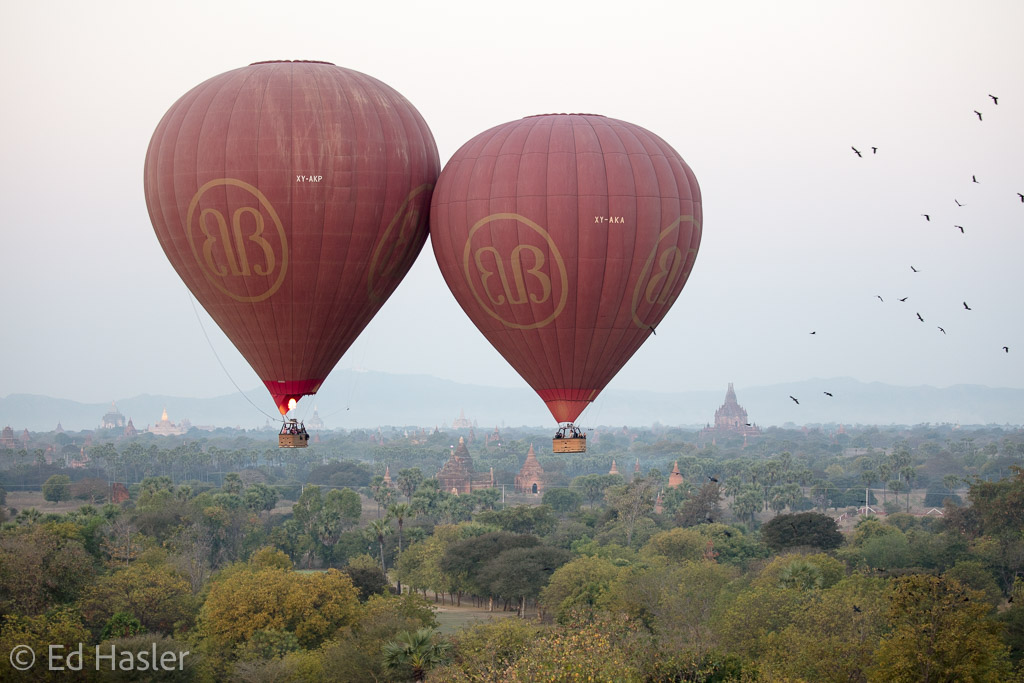 Two balloons gently nudge each other